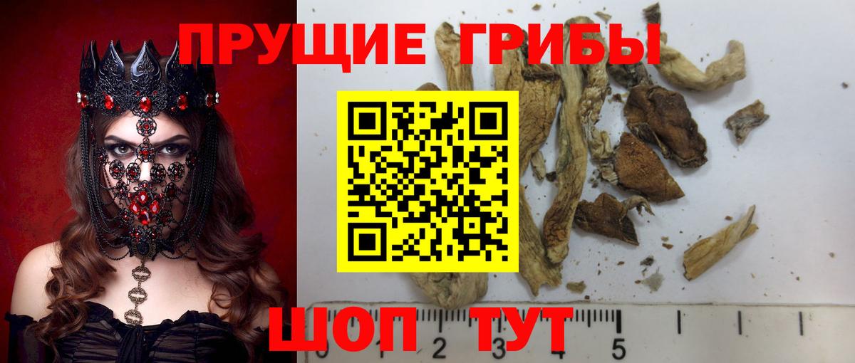 Галлюциногенные грибы MAGIC MUSHROOMS  Вход с VPN  Заречный 